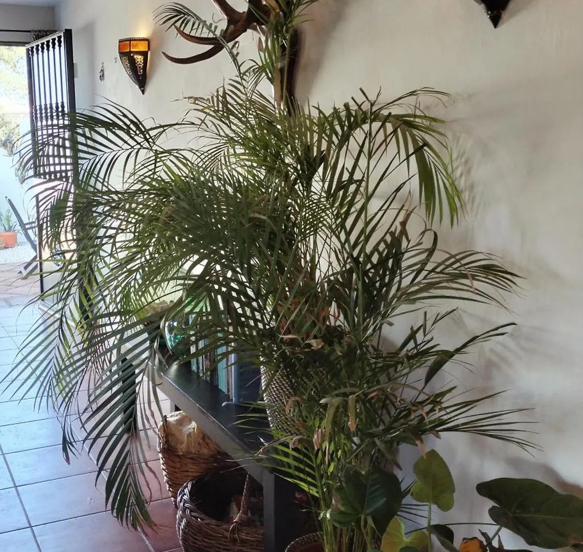 Todos Y Tonya Bed & Breakfast Archidona
