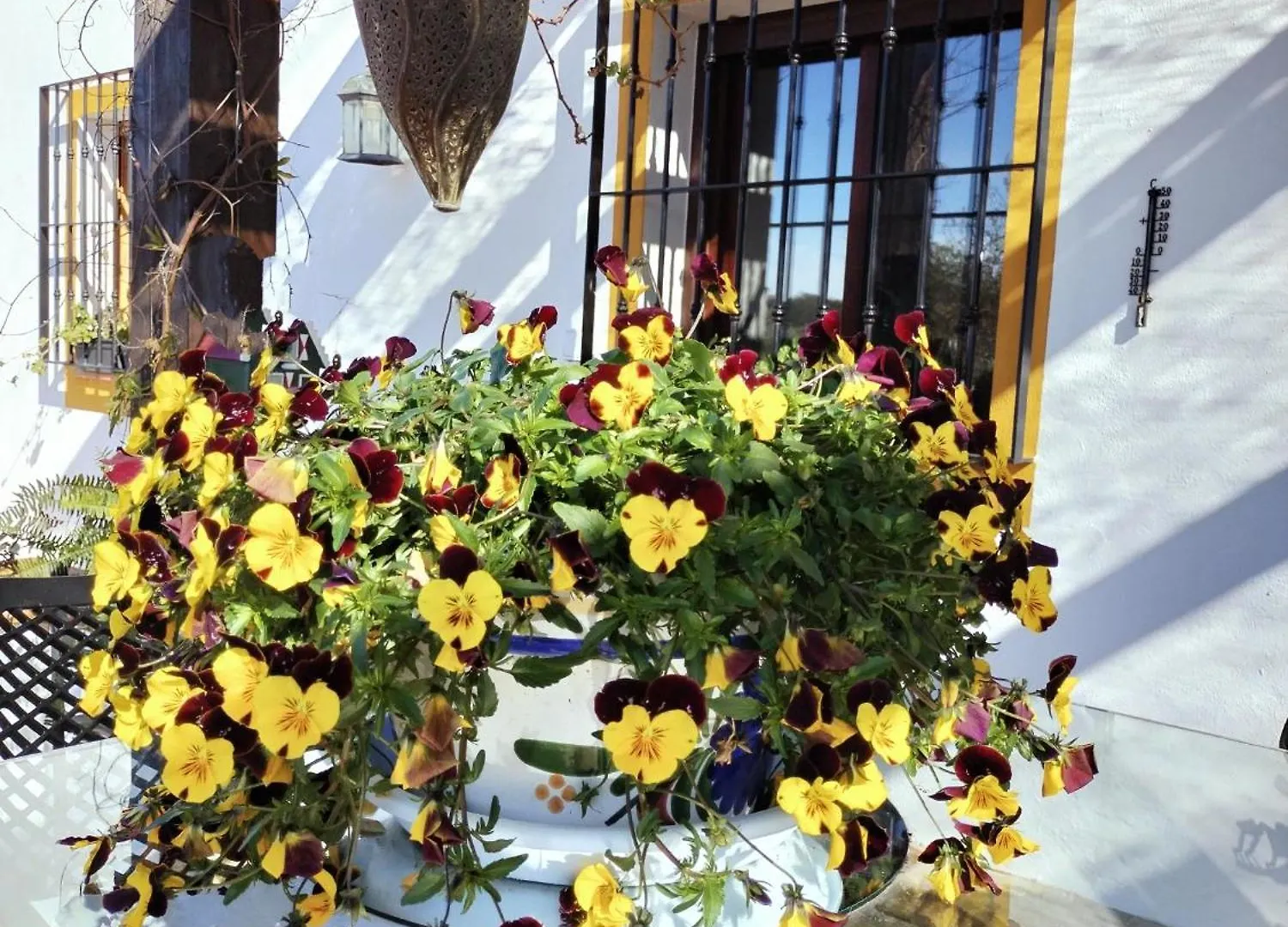 Todos Y Tonya Bed & Breakfast Archidona