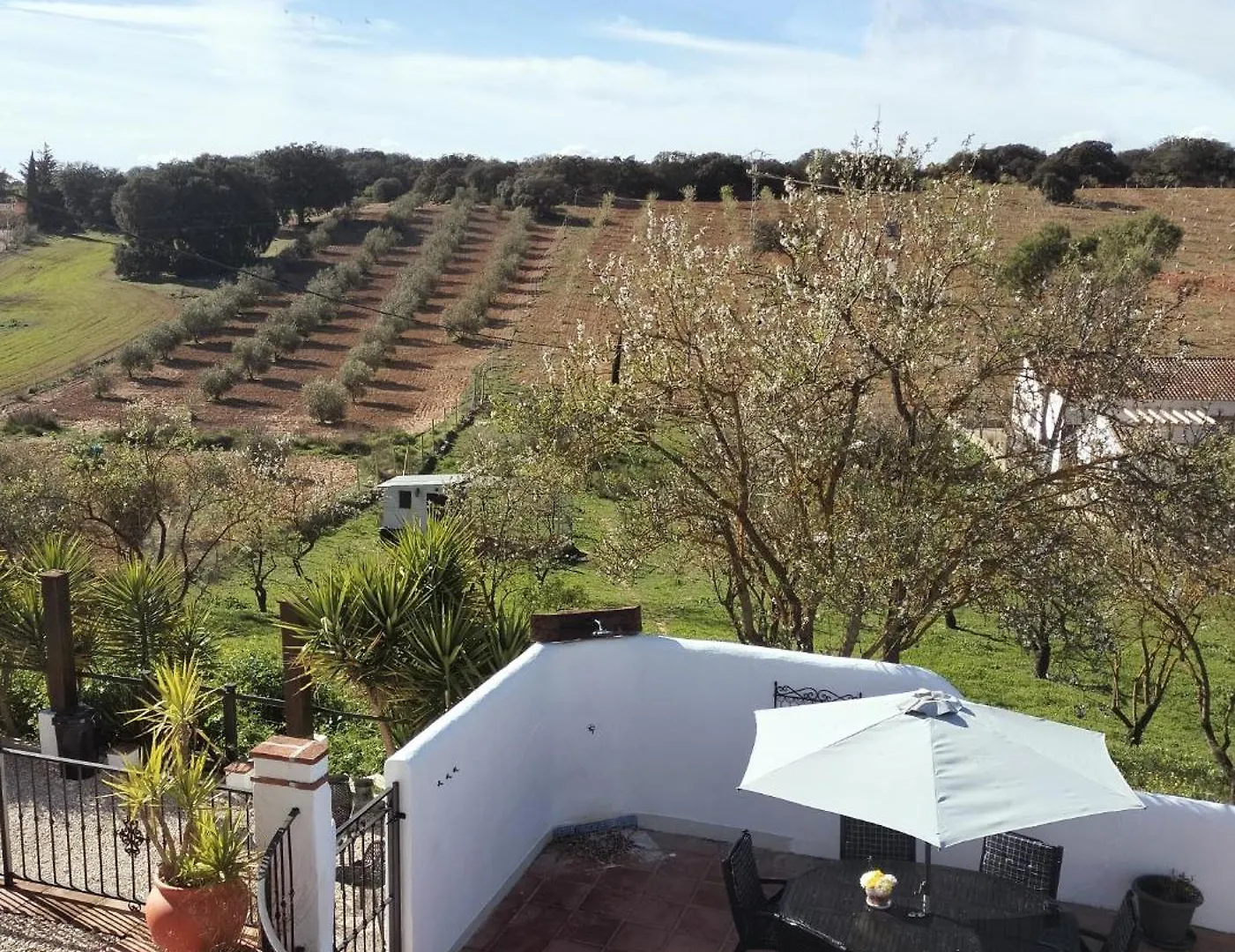 Todos Y Tonya Bed & Breakfast Archidona Spain
