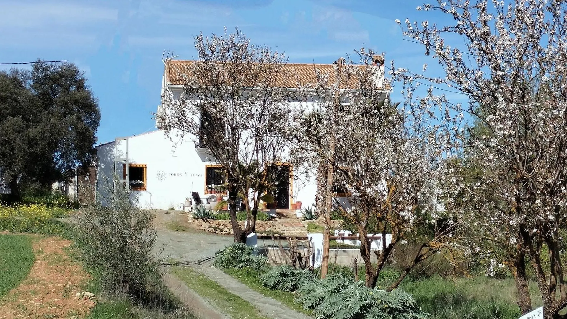 Bed & Breakfast Bed and Breakfast Todos Y Tonya Archidona Spagna