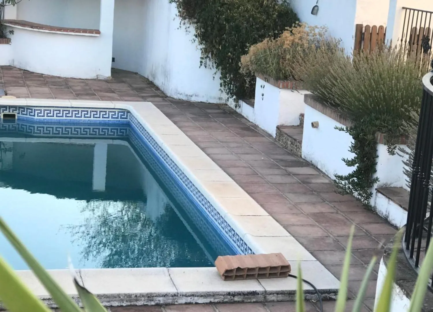 Bed and Breakfast Todos Y Tonya Archidona Bed & Breakfast